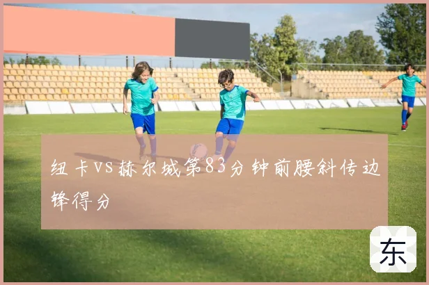 纽卡vs赫尔城第83分钟前腰斜传边锋得分